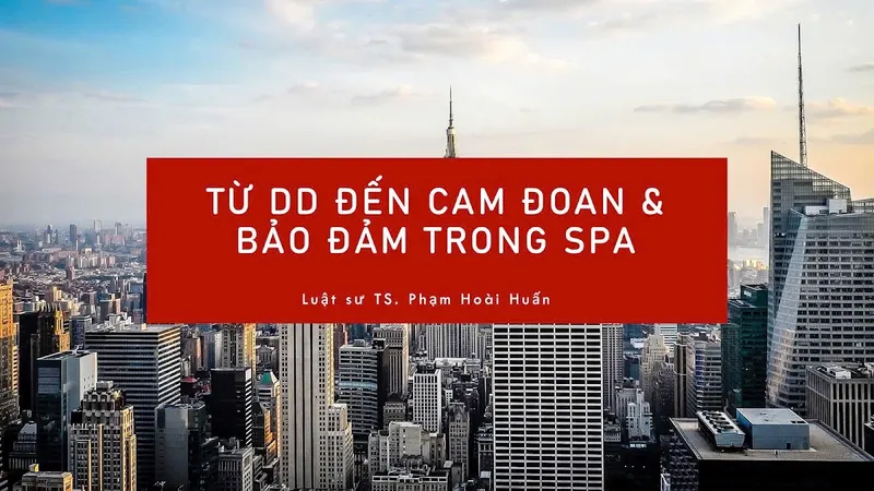 Từ DD đến Cam đoan & Bảo đảm trong SPA